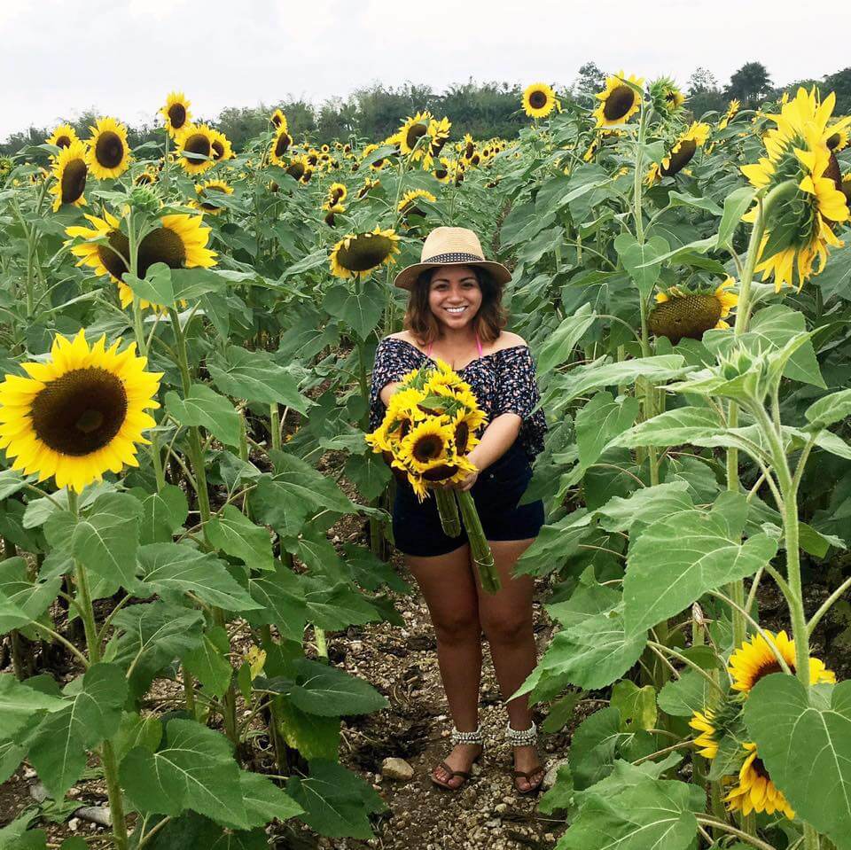 felicias flower farm