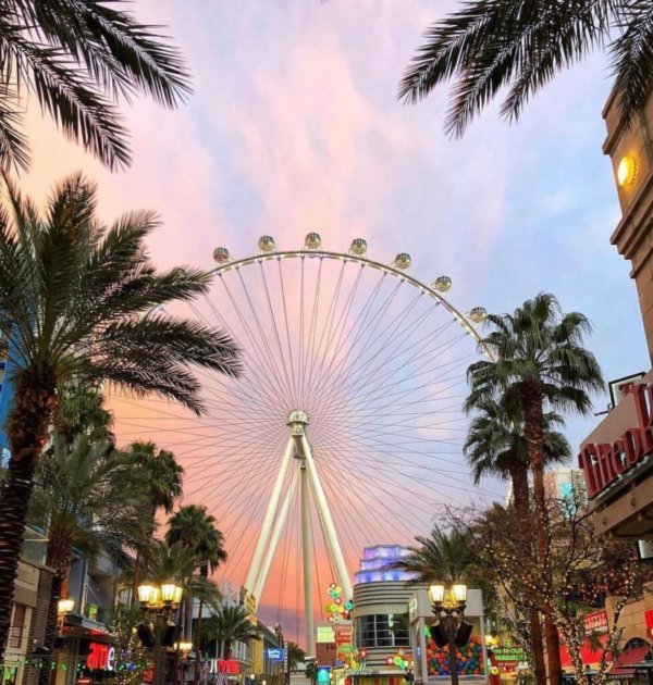 high roller observation wheel