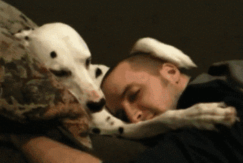cuddling with your dog