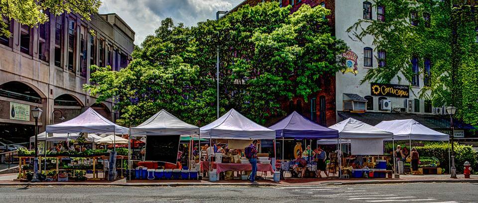 northampton farmer's market