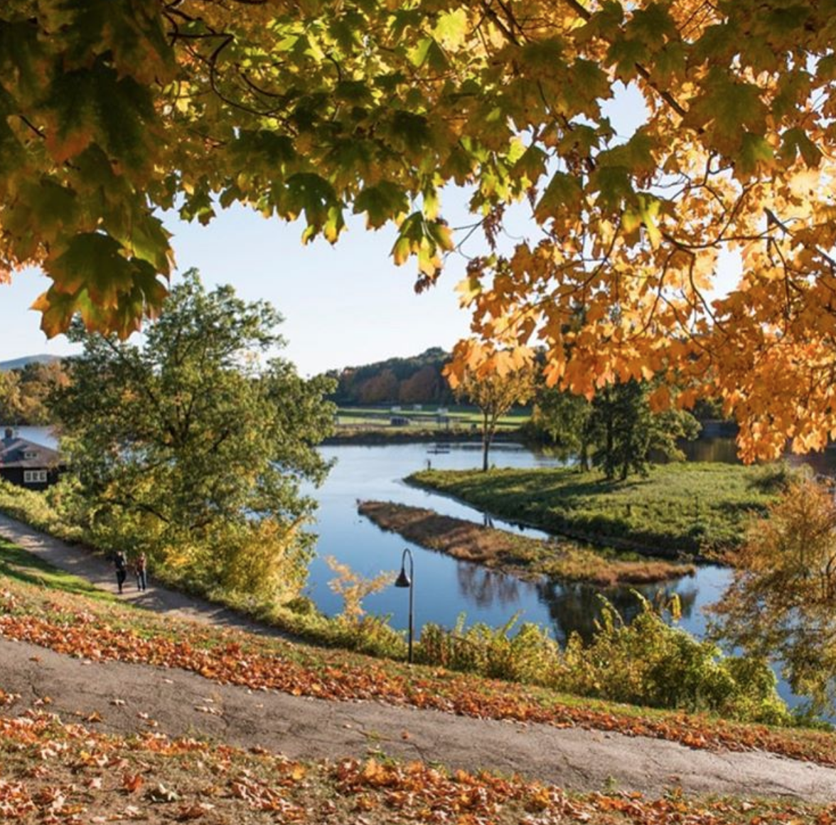 Paradise Pond Northampton