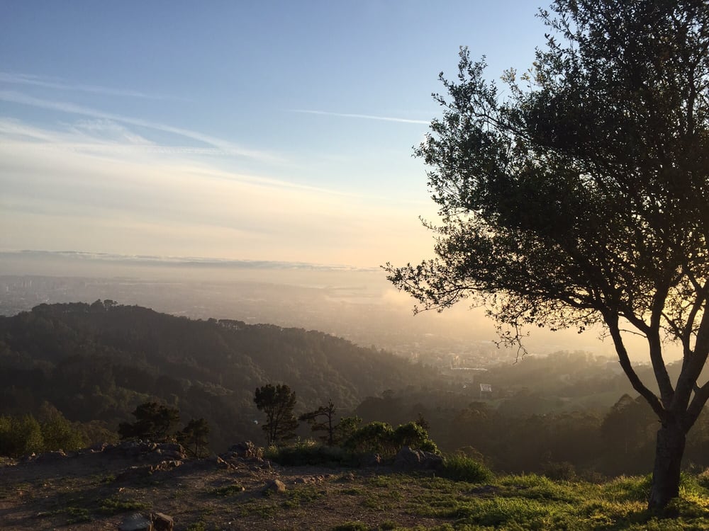 berkeley landscape