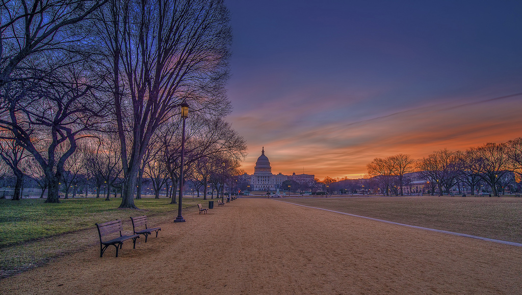 national mall things to do in dc at night