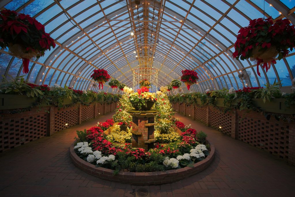 u.s. botanical gardens things to do in dc at night