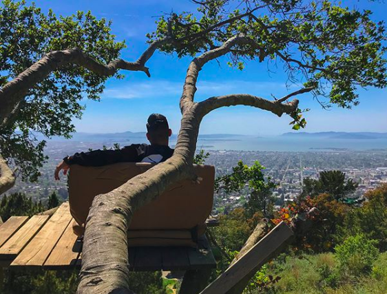 berkeley lookout