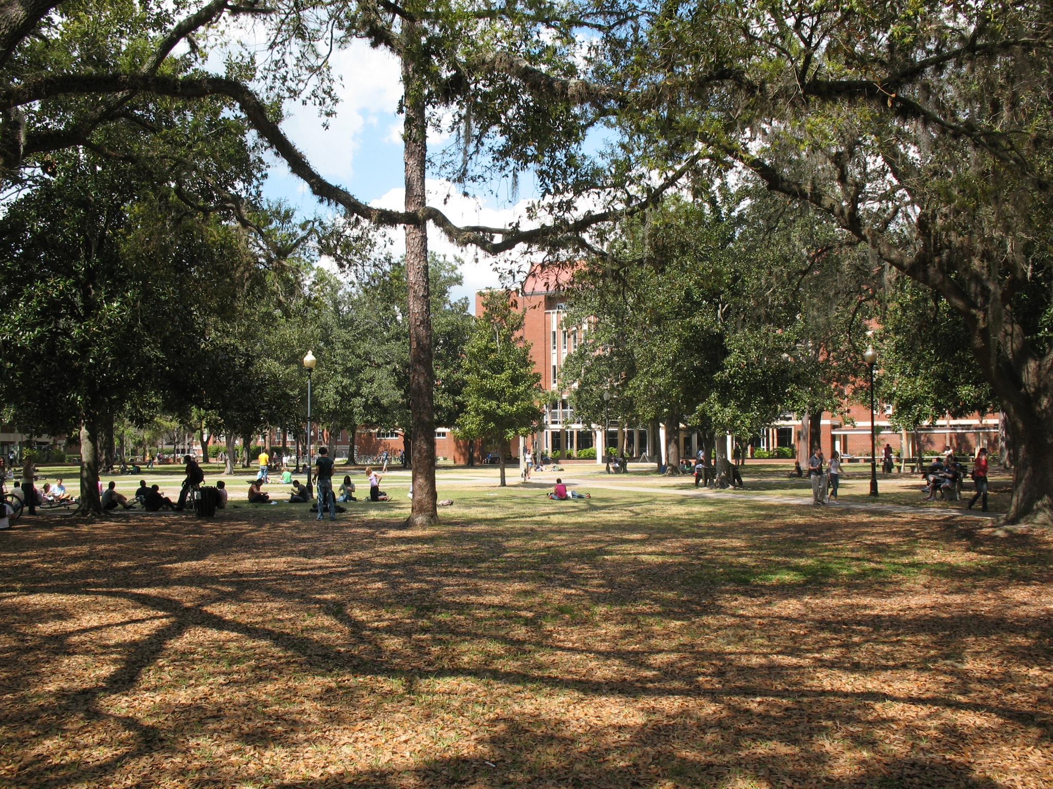 plaza of the americas things to do under 21 at uf
