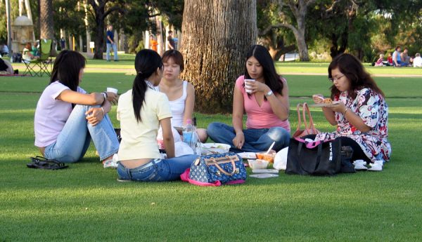 friends gathering on a green somewhere it's okay to not be okay