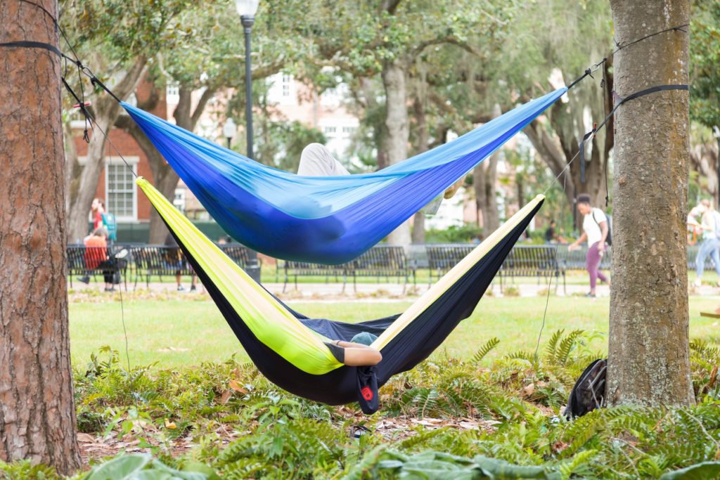 University of Florida quirks hammocking