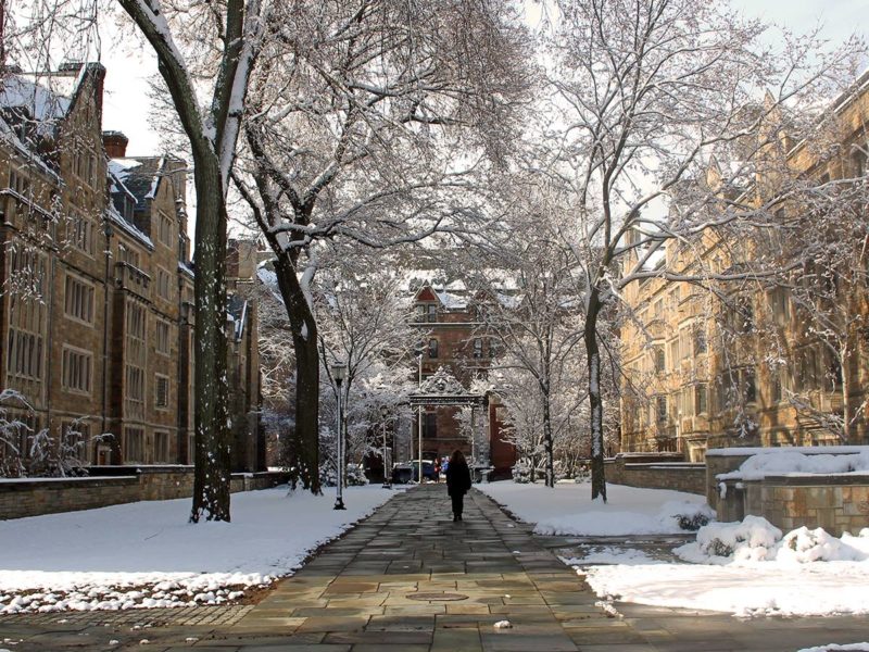 yale campus snow colleges for feminists