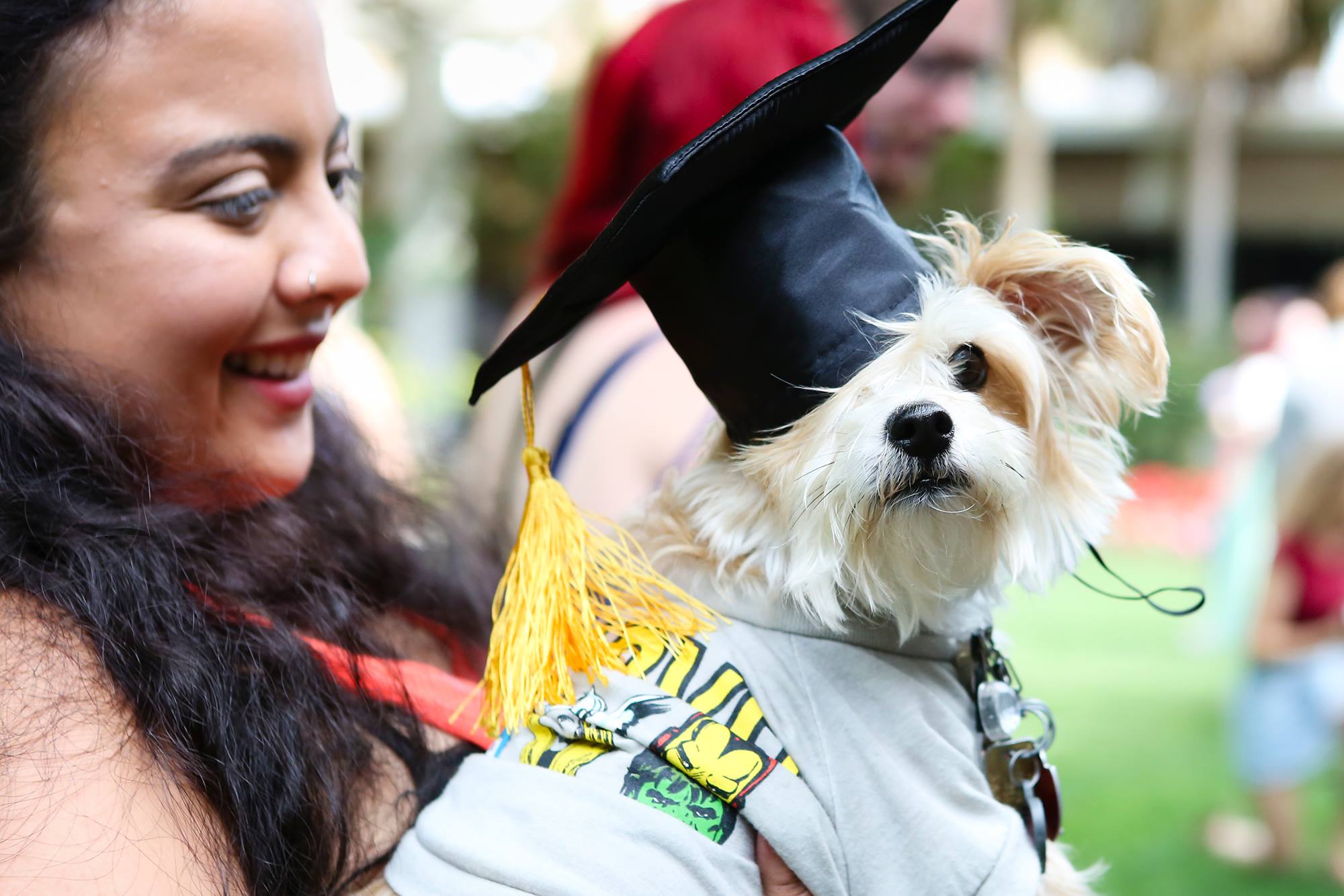 pet-friendly colleges