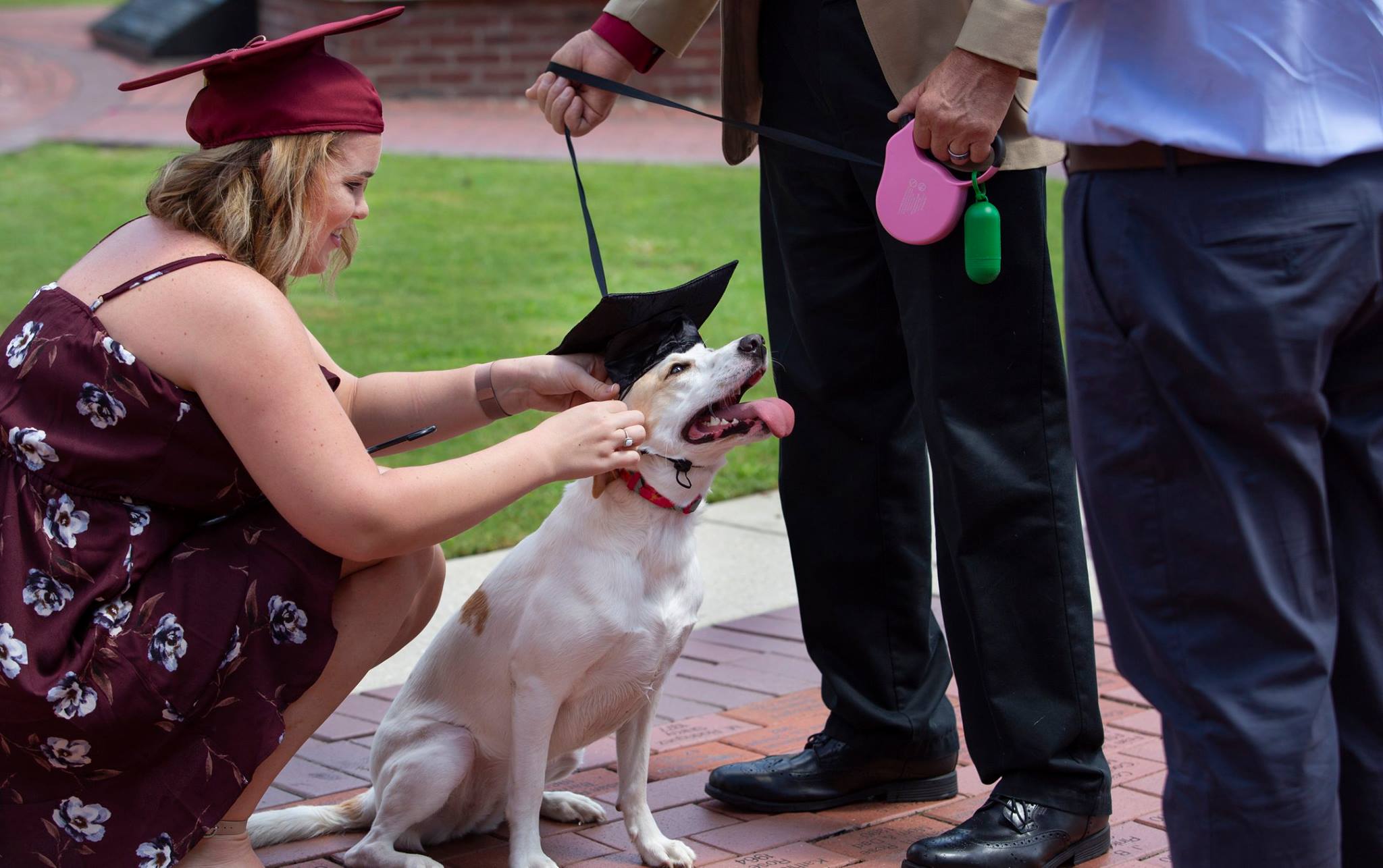 Top 10 Pet-Friendly Colleges 2018 ⋆ College Magazine