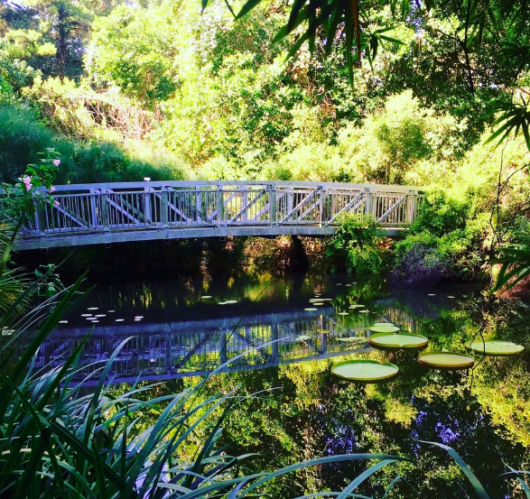 botanical gardens gainesville day trips