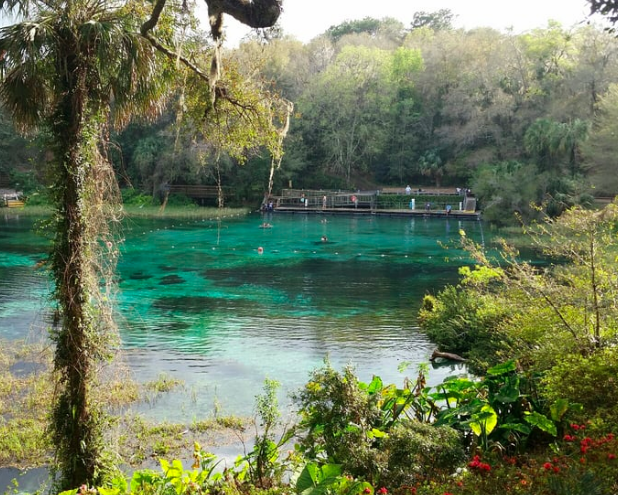 rainbow springs gainesville day trips