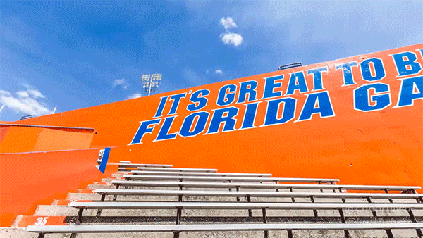 it's great to be a florida gator stadium university of florida survival