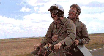 dumb and dumber harry dunne gif university of florida