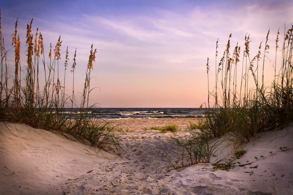 little tybee island things to do in savannah