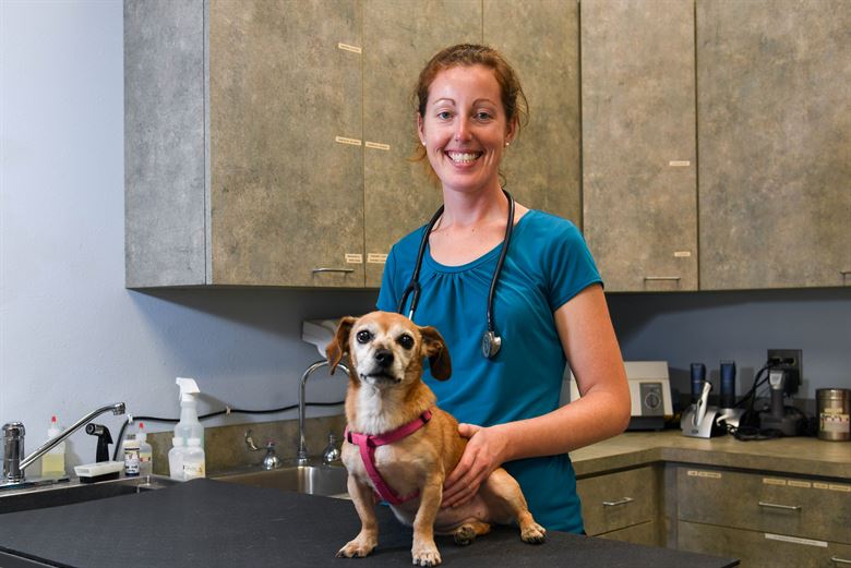 how to become a veterinarian vet with pup