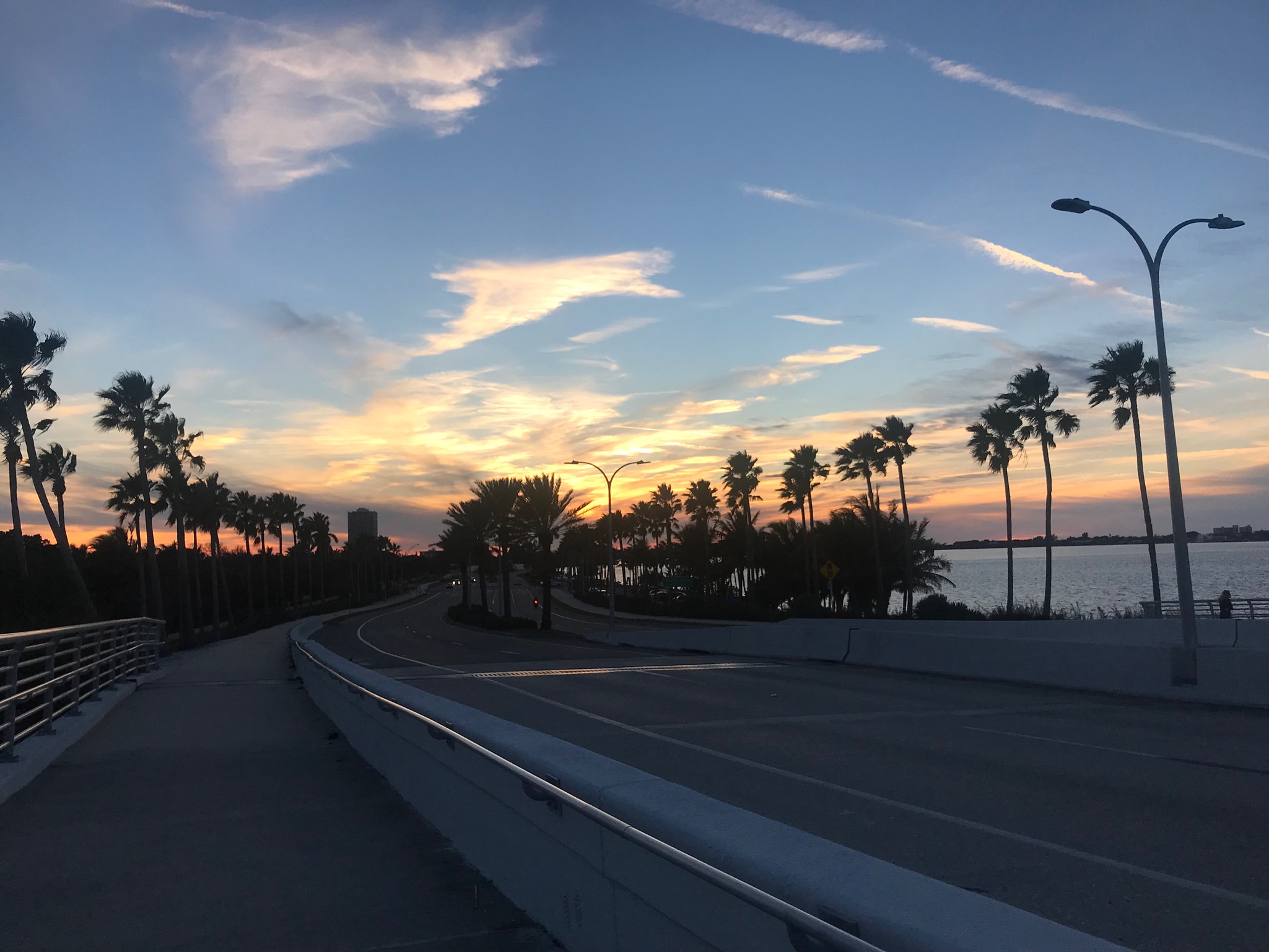 bridge with palm trees things to do in sarasota