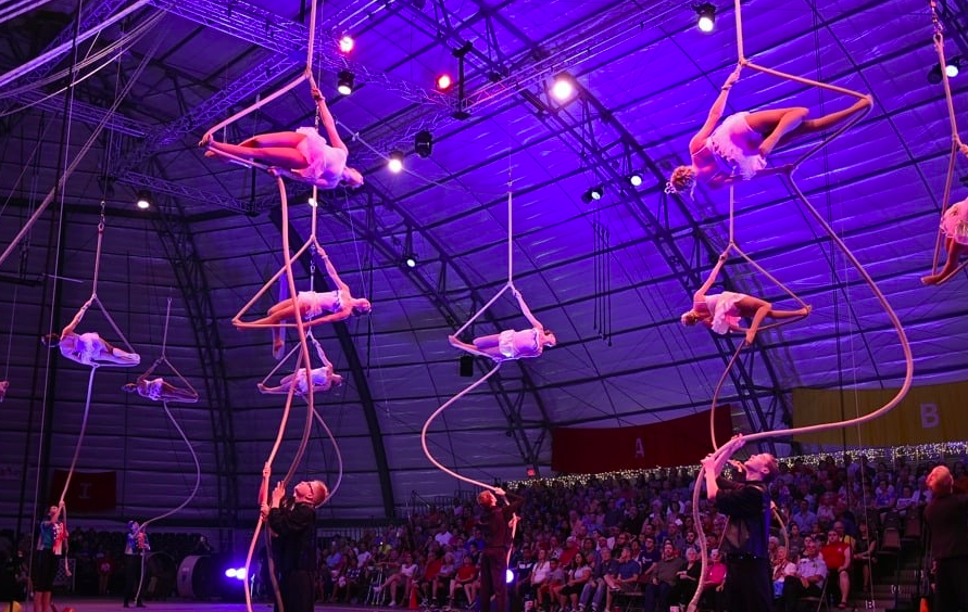 circus acrobats things to do in sarasota