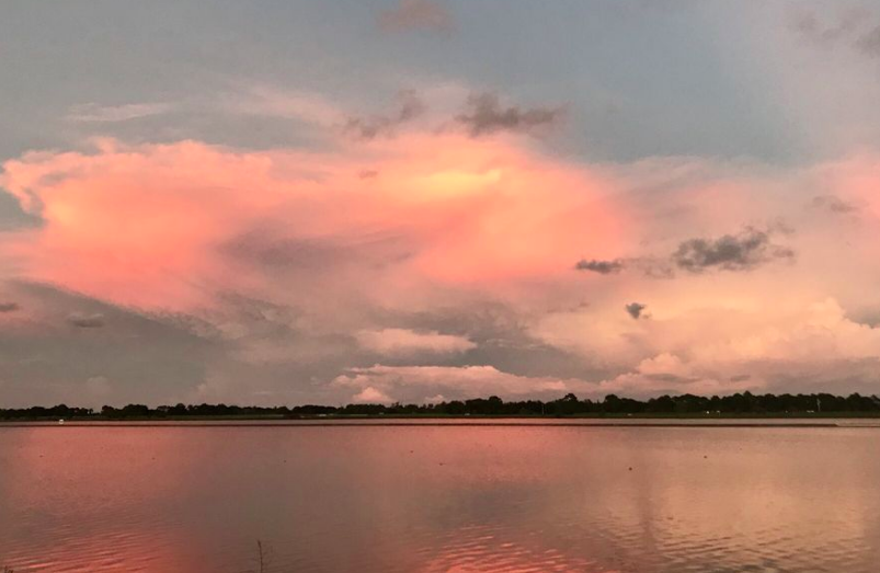 things to do in sarasota pink sunset