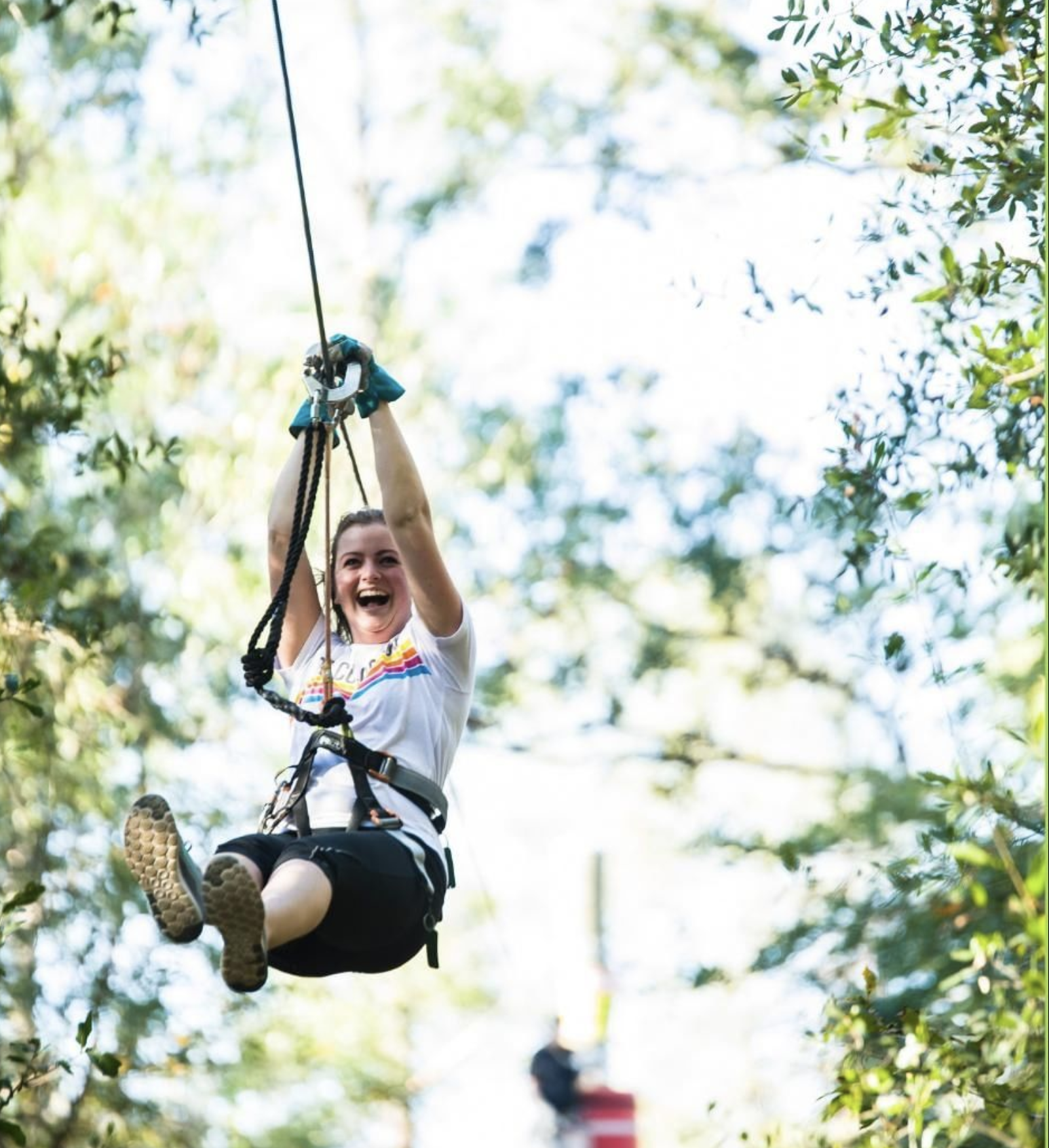 zip lining tallahassee museum