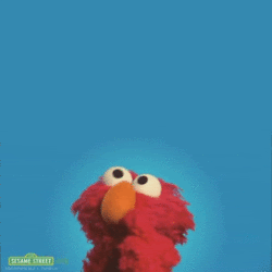 elmo thinking apply for credit card gif