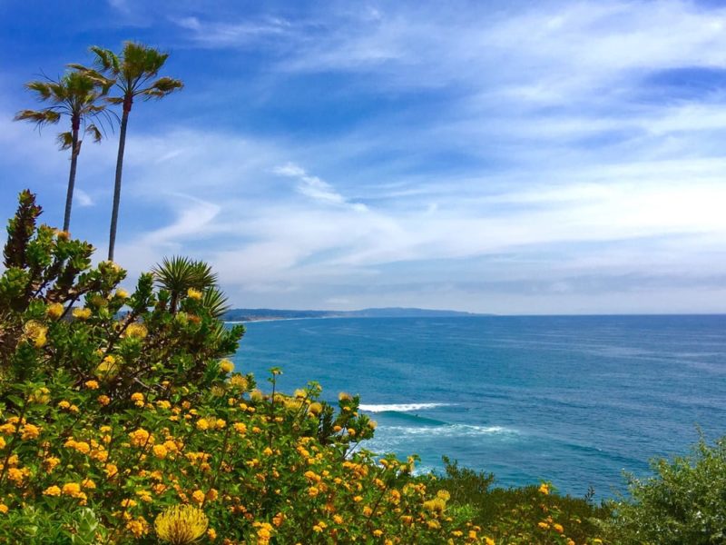 meditation gardens san diego state chill spots