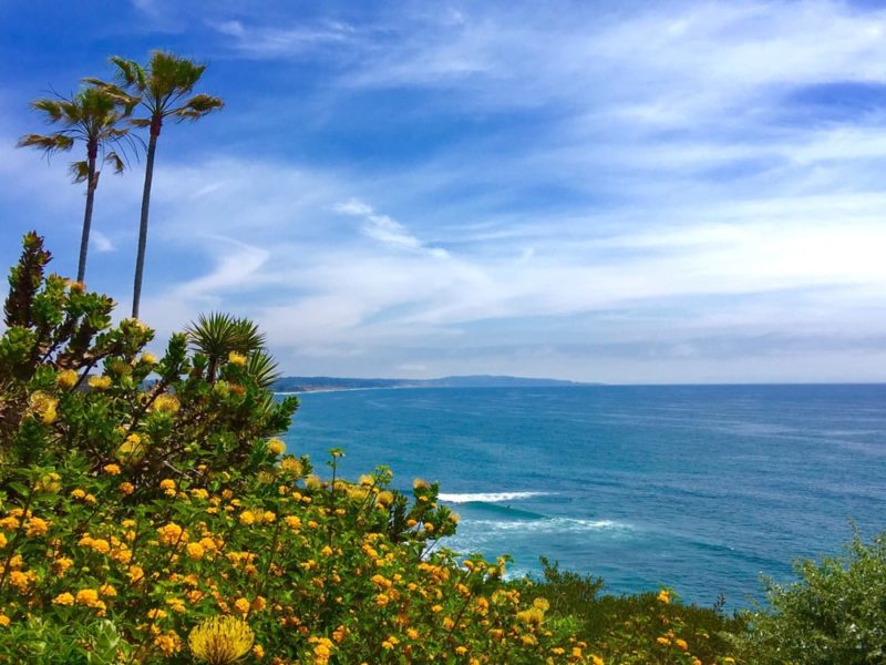 meditation gardens san diego state chill spots