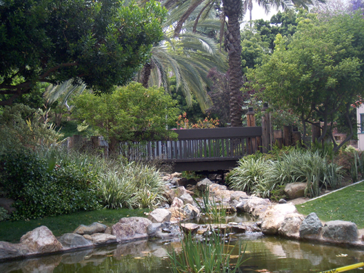 turtle pond san diego state chill spot