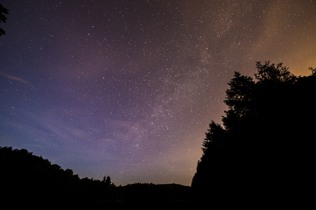 things to do in sarasota night sky stars