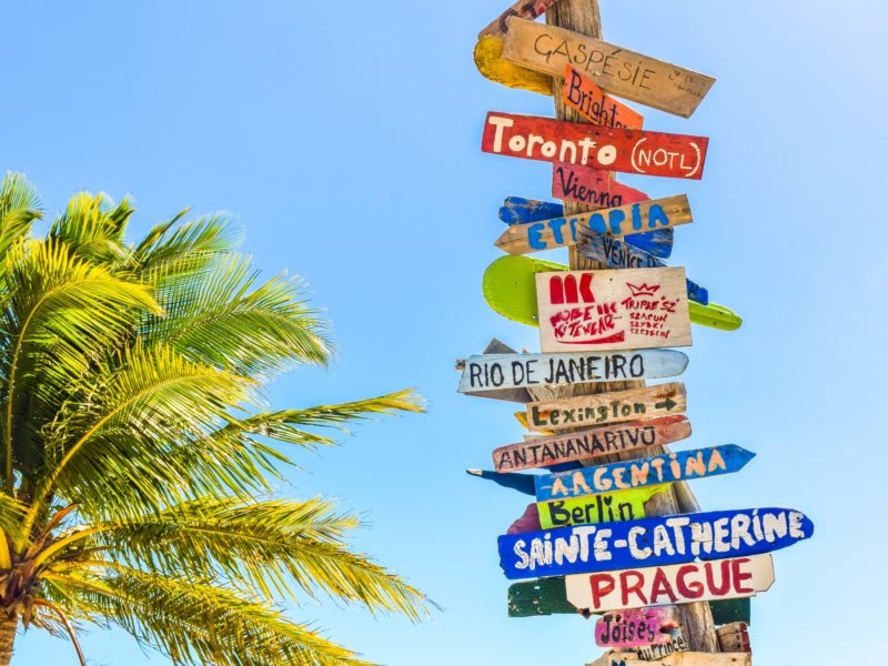 american airlines student discount tropical signs