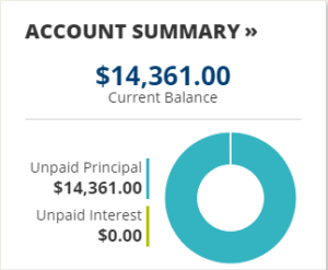 Student Loan Debt