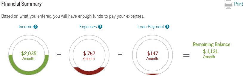 future income projection