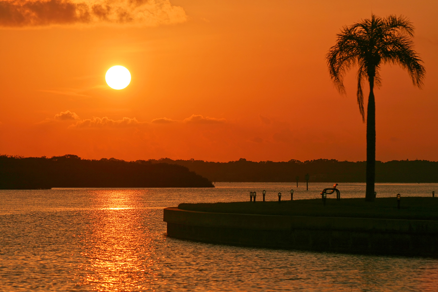 sun rise things to do in clearwater