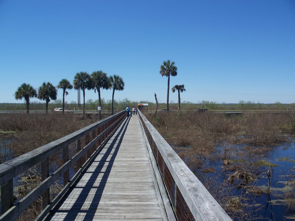 boardwalk on marsh