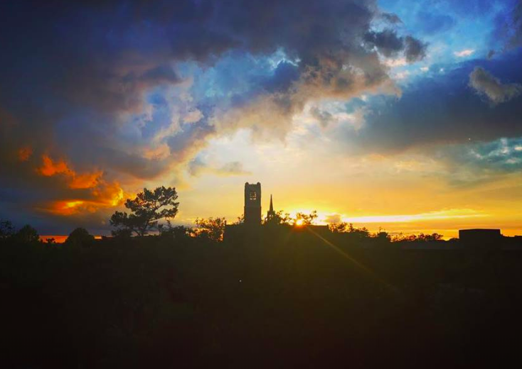 university of florida tailgating sunrise