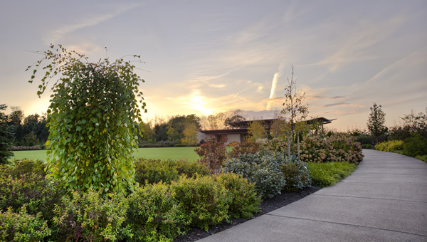 picture of one of the areas at the arboretum