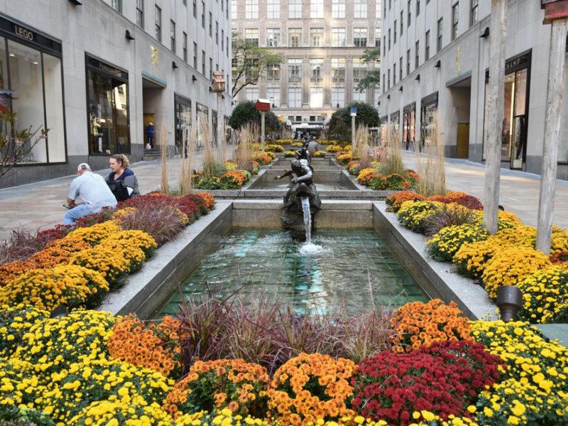 channel gardens