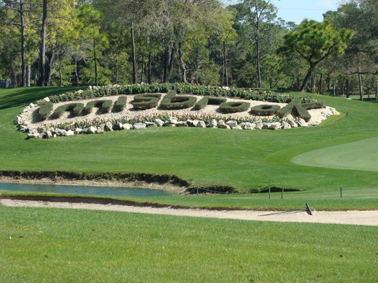 innisbrook golf things to do in clearwater