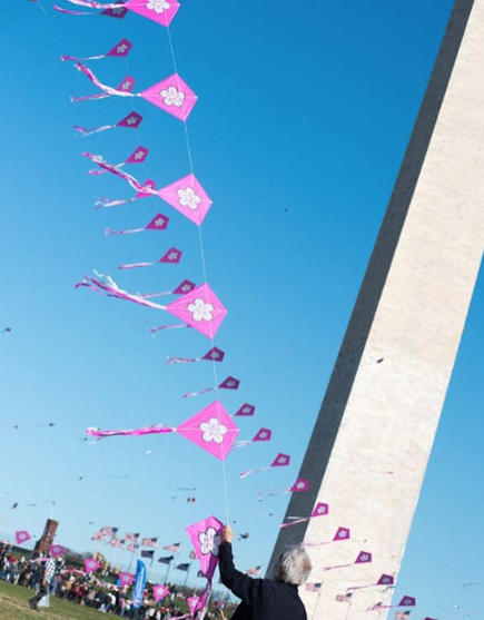 d.c. kite blossom festival