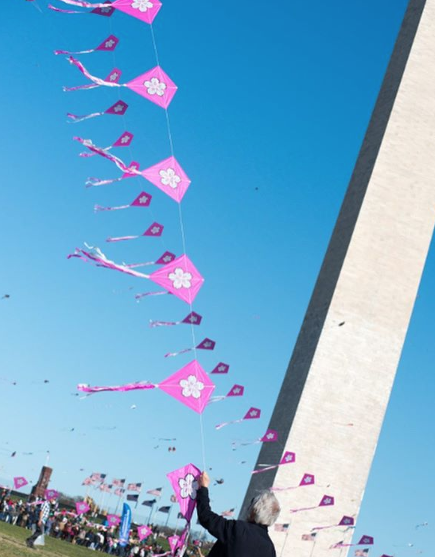 d.c. kite blossom festival 