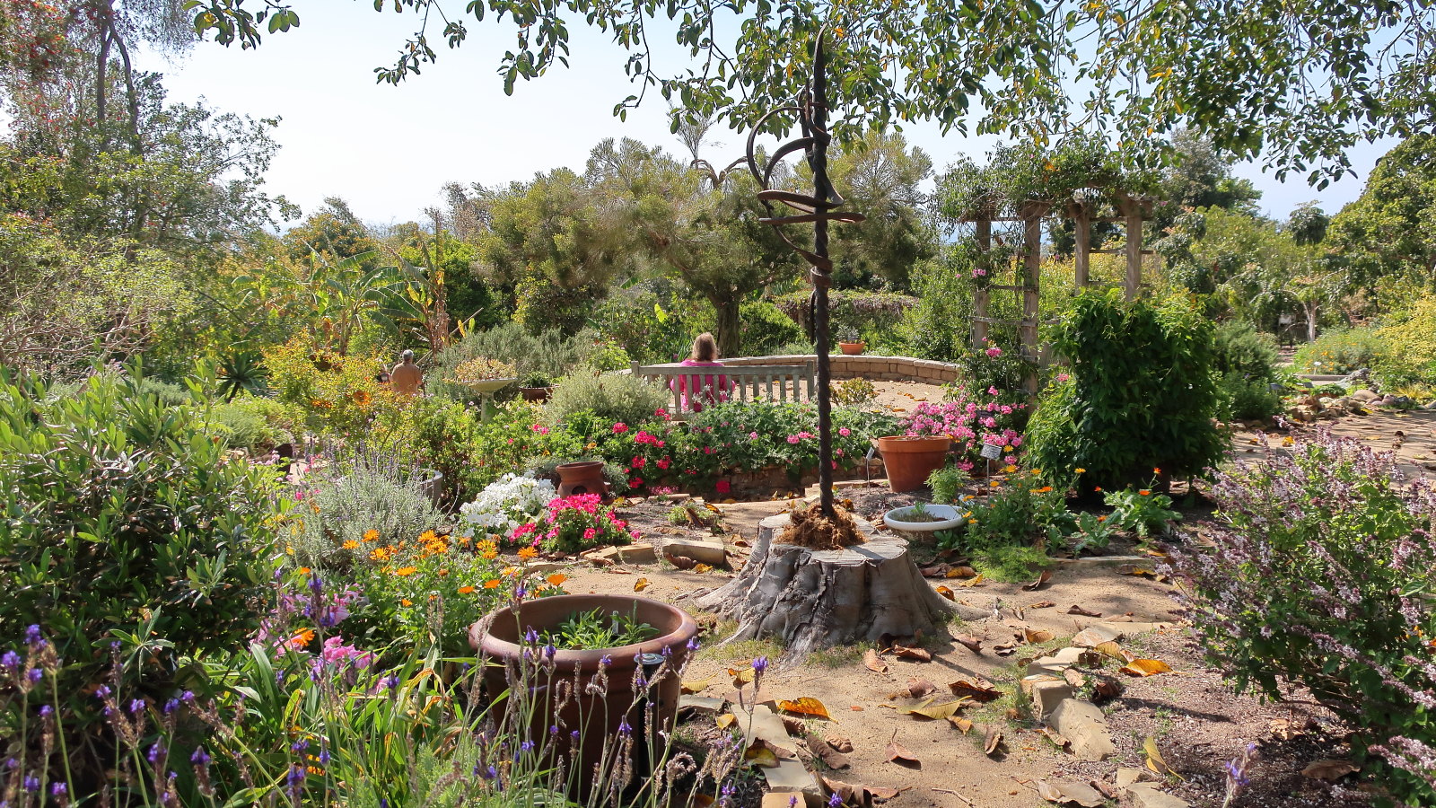 things to do in san diego