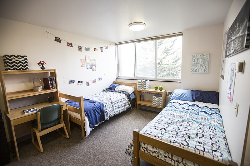 10 Things to Know About Living in a College  Dorm  College  