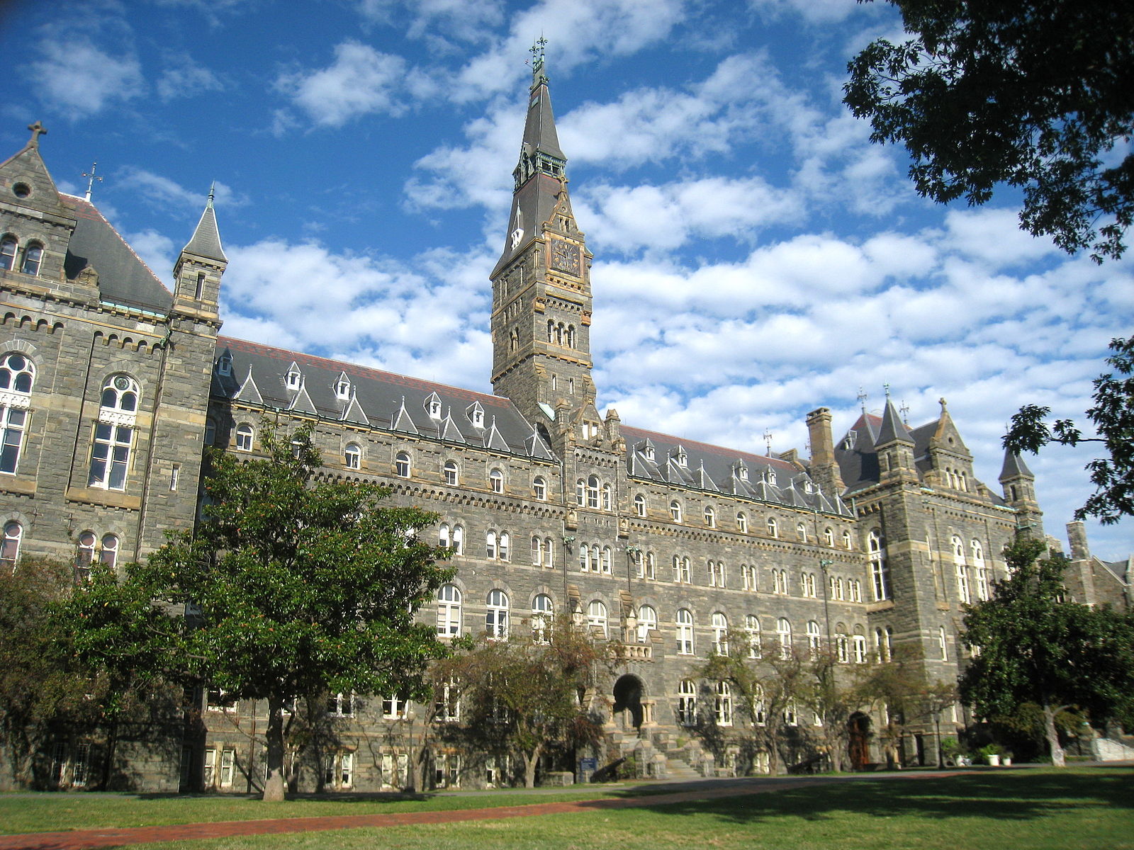 best pre med colleges georgetown