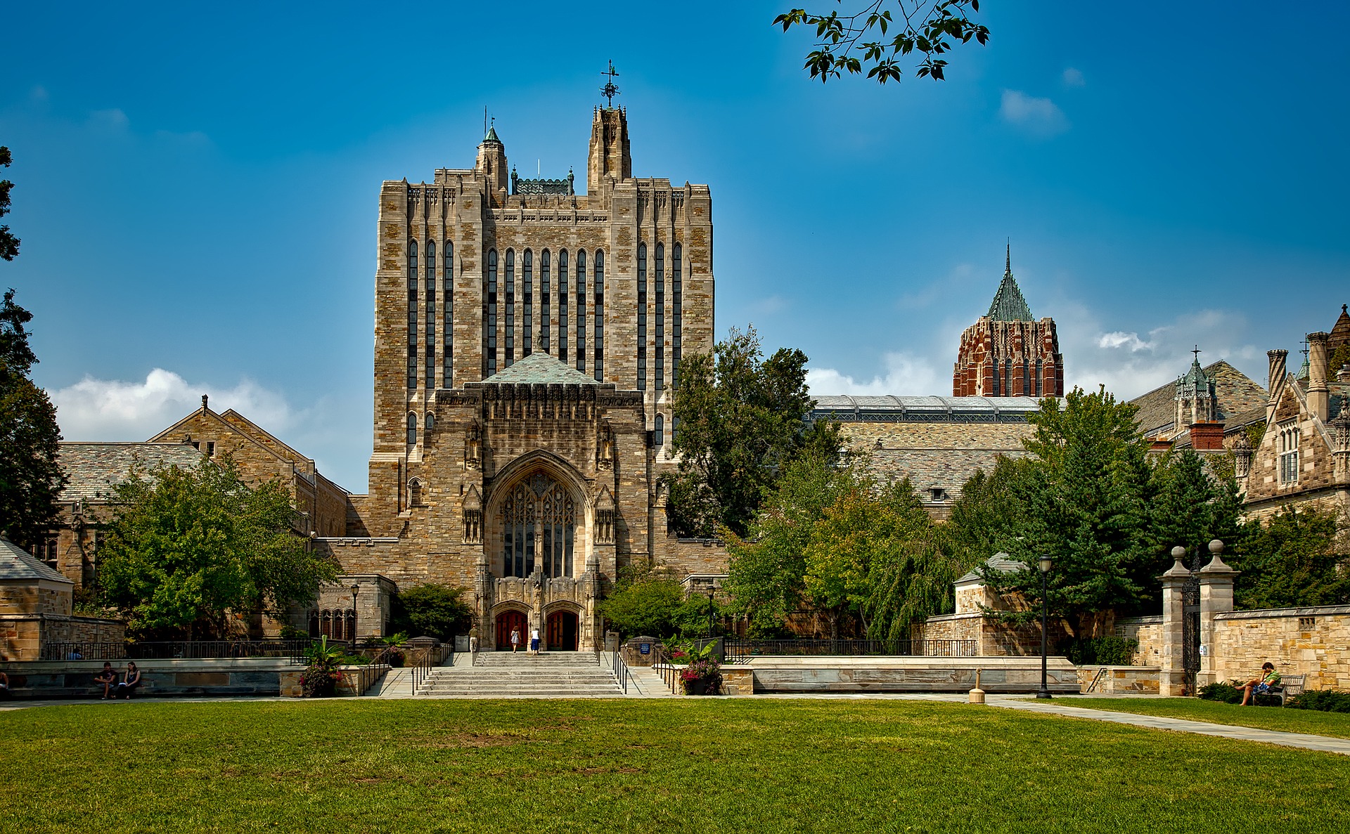 yale university best school for premed