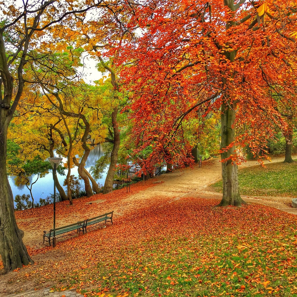 things to do in Copenhagen
