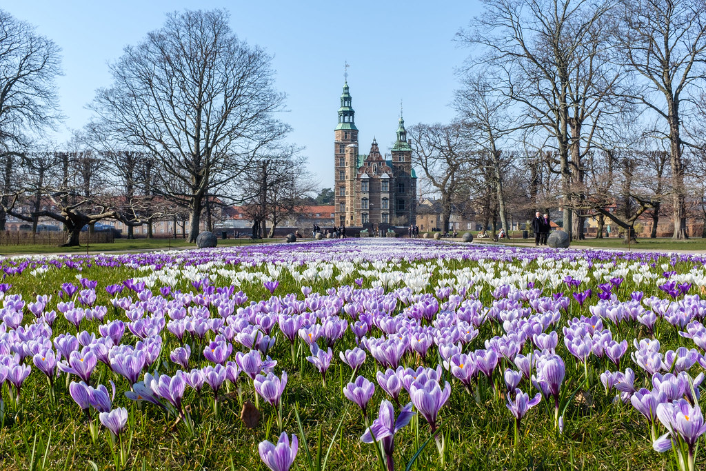 things to do in Copenhagen