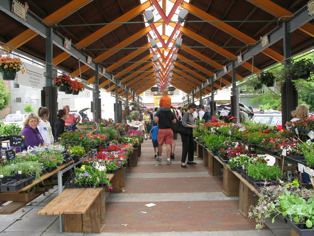 farmer market