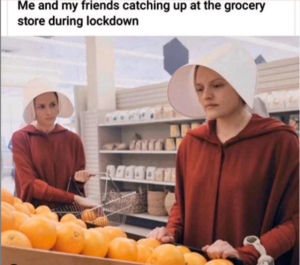 Coronavirus Memes Handmaid's Tale