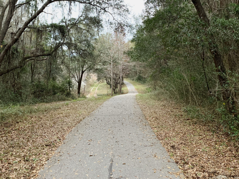 A bike trail covered by shade in Gainesville, Florida.